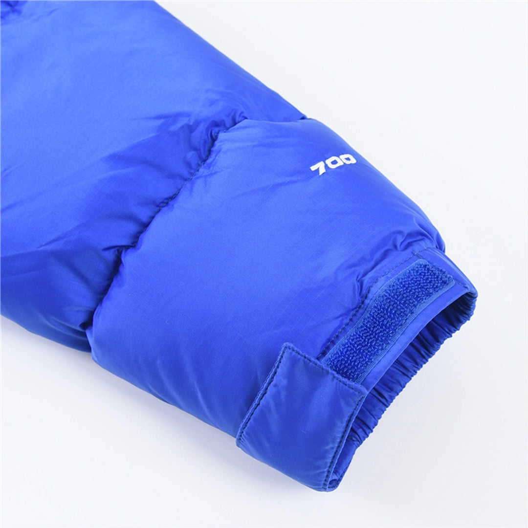 THE NORTH FACE 1996 ECO NUPTSE 700 BLUE JACKET