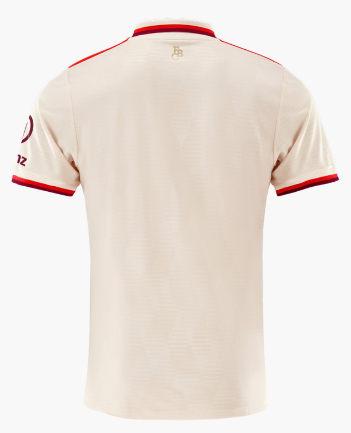 Bayern Munich 3rd jersey 2024/25