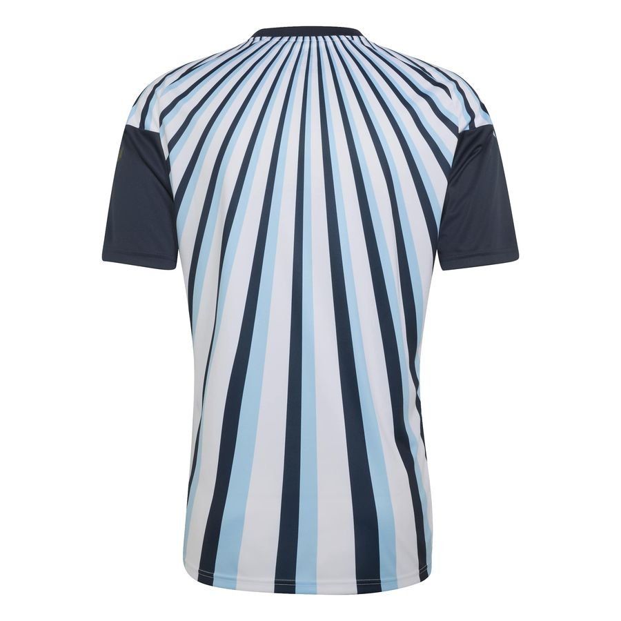 ARGENTINA TRAINING T-SHIRT PRE MATCH jersey