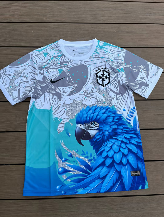 Brazil special edition jersey