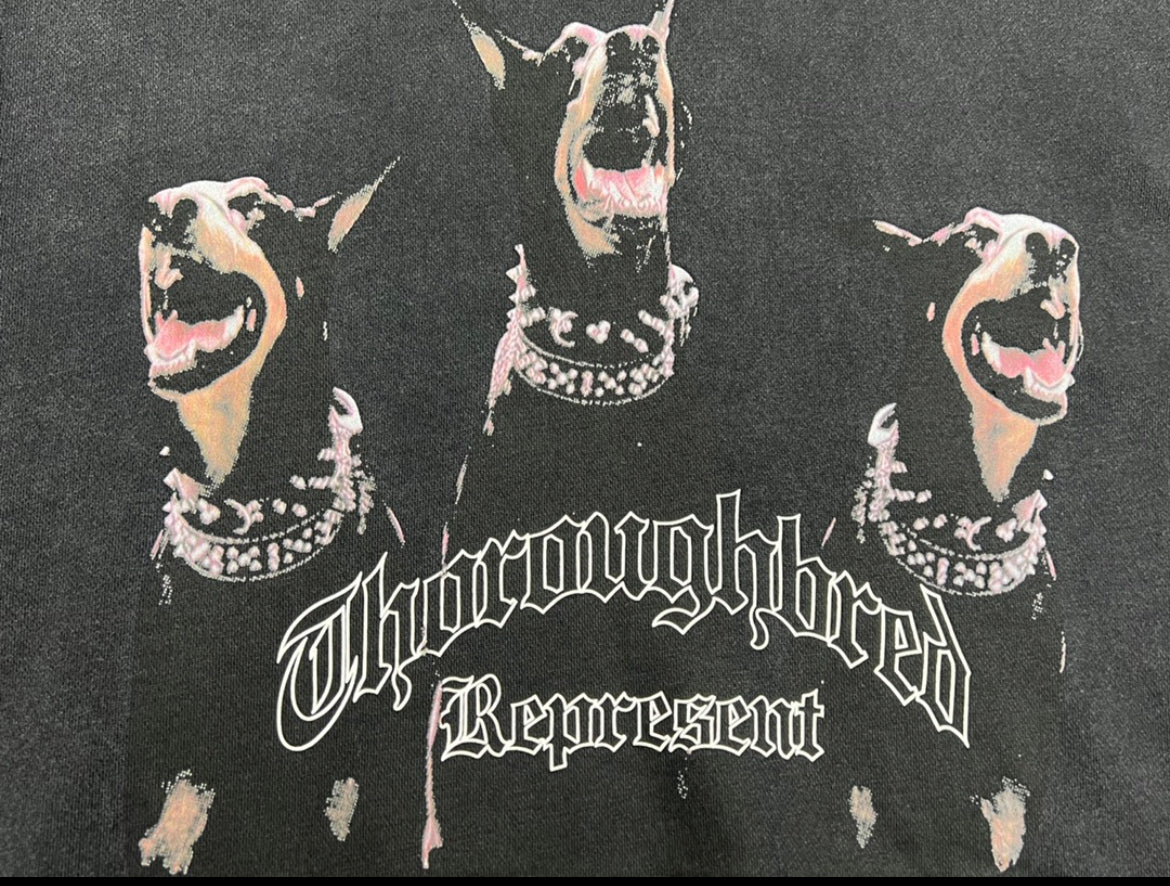 Represent Thoroughbred Doberman Hoodie