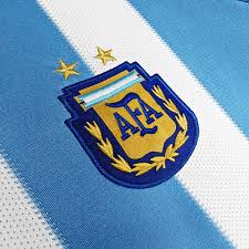 Argentina 2010 World Cup jersey